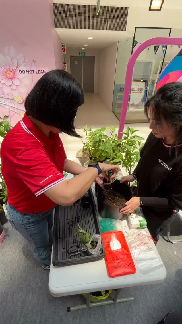 Instagram post from natcinstitute_sg. This post is in position 5.