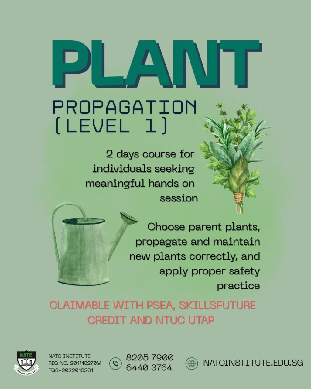 Instagram post from natcinstitute_sg. This post is in position 0.