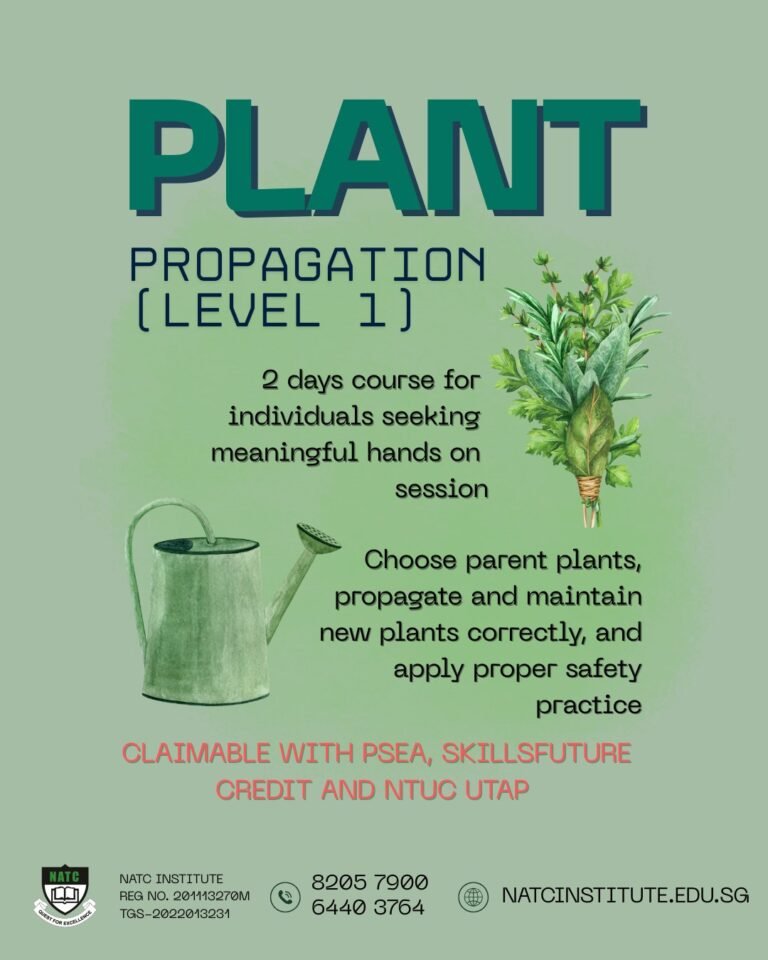 Instagram post from natcinstitute_sg. This post is in position 3.