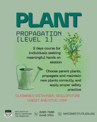 Instagram post from natcinstitute_sg. This post is in position 4.