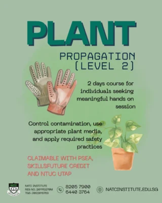 Instagram post from natcinstitute_sg. This post is in position 3.